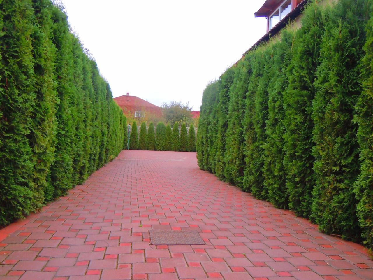 Pensiunea Marina Câmpina Buitenkant foto